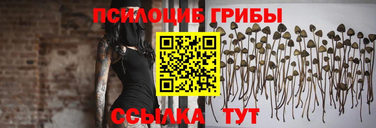 Псилоцибиновые грибы GOLDEN TEACHER  Вход с VPN  Артёмовский 
